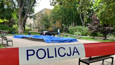 Dziesiątki martwych ptaków w fontannie. Akcja służb w Lublinie