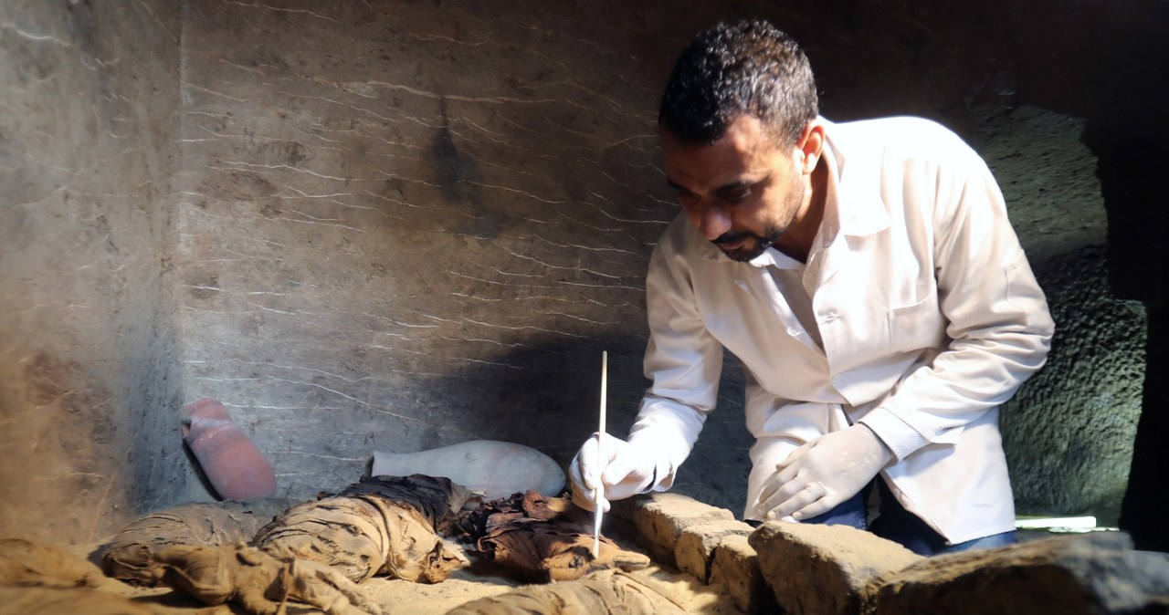 Dziesiątki mumii kotów odkryto w Egipcie