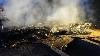 Dziesięć psów spłonęło żywcem. Dramat na Opolszczyźnie