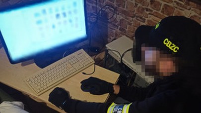 Dziewięciu mężczyzn zatrzymanych. Odpowiedzą za rozpowszechnianie pornografii dziecięcej