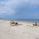 Dzika plaża nad Bałtykiem, z piaskiem jak na Karaibach. Tu wypoczniesz bez tłumów 