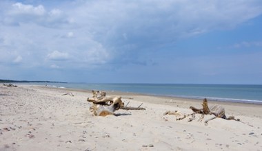 Dzika plaża nad Bałtykiem, z piaskiem jak na Karaibach. Tu wypoczniesz bez tłumów 