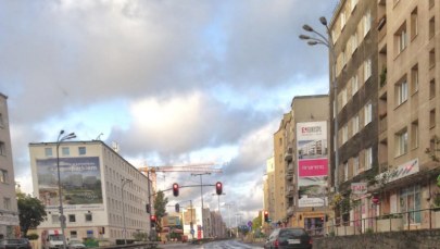 Dziki w miastach. Wspólny apel prezydentów Trójmiasta