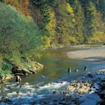 Dzikie kaskady i zew natury. Bieszczadzka perełka wciąż mało popularna