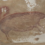 Dzikie świnie celebeskie. W Indonezji odkryto najstarsze rysunki naskalne