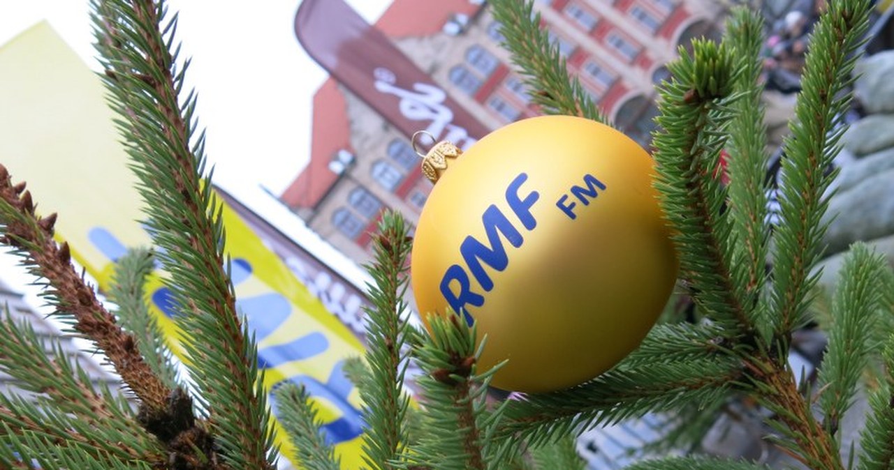 Dziś choinki pod choinkę rozdajemy we Wrocławiu