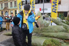 Dziś choinki pod choinkę rozdajemy we Wrocławiu