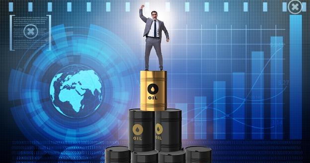 Dzis decyzja OPEC ws. dobycia /&copy;123RF/PICSEL