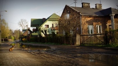 Dziś możliwe wstępne wyniki sekcji zwłok ofiar tragedii w Wołominie 