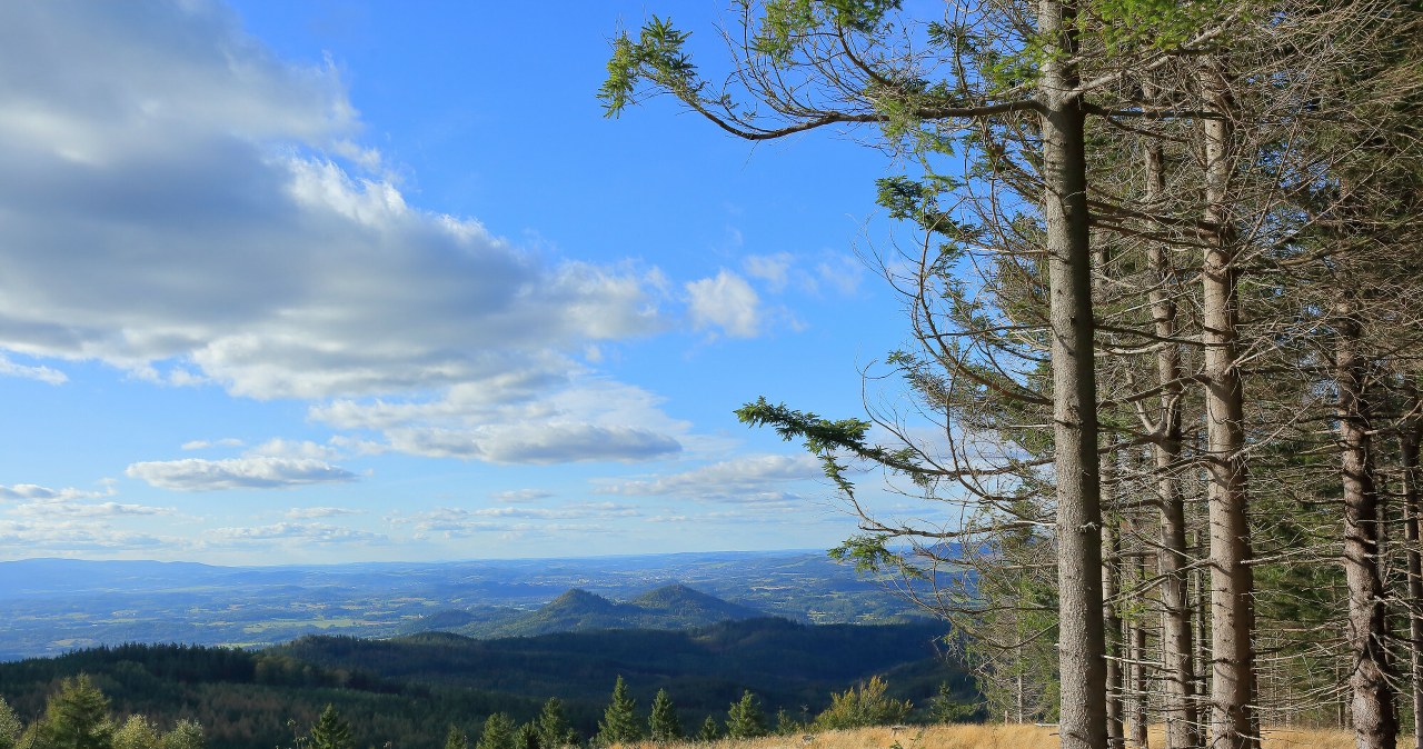 Dzisiaj jest tam polana i punkt widokowy. Jednak jeszcze 50 lat temu Budniki tętniły życiem /Marcin Rutkiewicz/REPORTER /East News