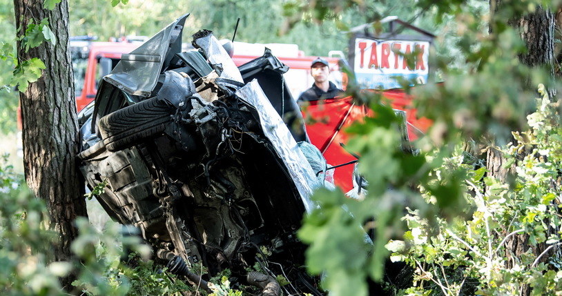 Dzisiejszy wypadek na drodze powiatowej pomiędzy Strzelnem i Wójcinem /Tytus Żmijewski /PAP