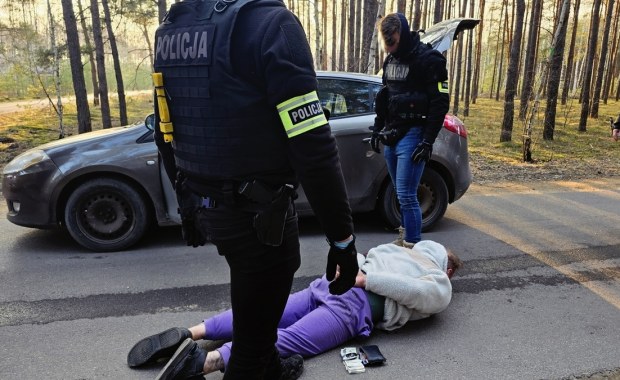 Dziupla pełna części. Jak policja rozpracowała złodziei samochodów