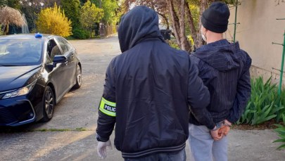 "Dziupla" z luksusowymi autami. Znaleziono w niej m.in. części bentleya skradzionego znanej aktorce