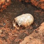 Dziwna czaszka znaleziona w rosyjskim Stonehenge