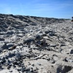 Dziwne czarne grudki nad Bałtykiem. Plaże w Ustce zamknięte do odwołania