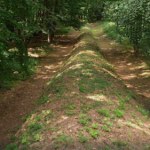 piramidy Dziwne piramidy w lasach w Polsce mają po 100 metrów. Starsze niż egipskie
