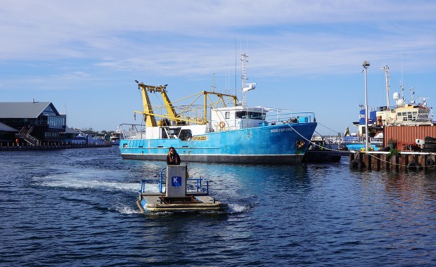 Dziwnów: Statek utknął na mieliźnie. Kilkadziesiąt osób na pokładzie