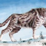 paleontologia Dziwny kot znaleziony w Ameryce. Naukowcy myśleli, że to gepard. Mylili się