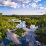 Dżungla groźniejsza niż Amazonia. Zielone piekło na Ziemi