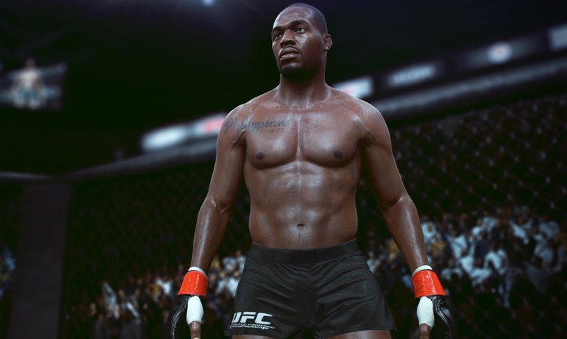 EA Sports UFC /materiały prasowe