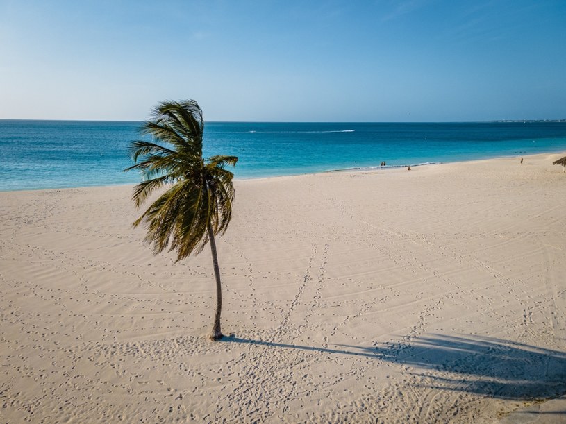 Eagle Beach na wyspie Aruba w rankingu znajduje się na podium /123RF/PICSEL