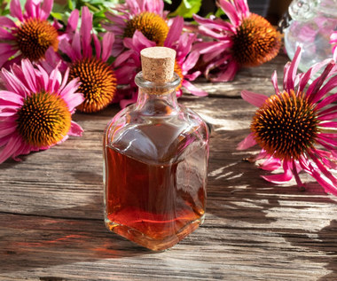 Echinacea: Właściwości i zastosowania