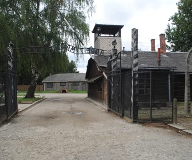 Edukacja o Holokauście zamiast więzienia