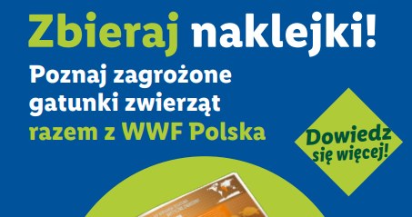 Edukacyjny album „Zwierzęta chronione” - WWF Polska i Lidl Polska /Lidl - materiały prasowe /INTERIA.PL