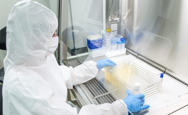 Edyta Brzóska-Wójtowicz: Komórki macierzyste są ogromną nadzieją medycyny regeneracyjnej