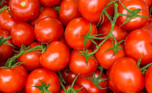 Efekt ciepłego września? "Warzyw będzie więcej i będą tańsze"