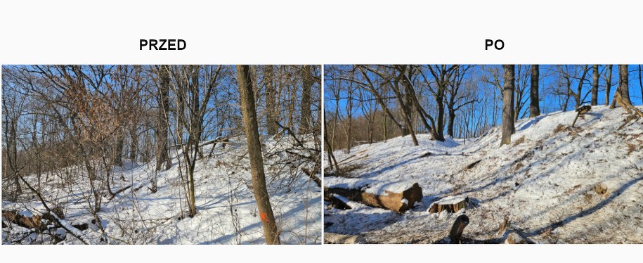 Efekt prac w rezerwacie "Lisia Góra" /Regionalna Dyrekcja Ochrony Środowiska w Rzeszowie /