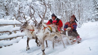 "Efekt Świętego Mikołaja". Magia Laponii zagrożona przez turystów?