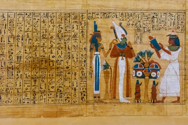 Egipski papirus na zdjęciu ilustracyjnym /Shutterstock