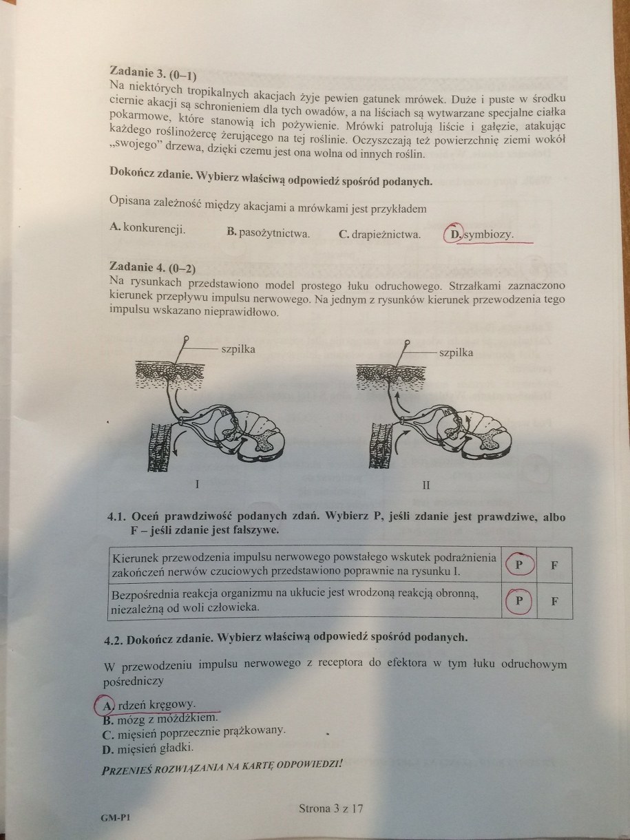 Egzamin gimnazjalny 2016. Propozycje odpowiedzi /RMF FM