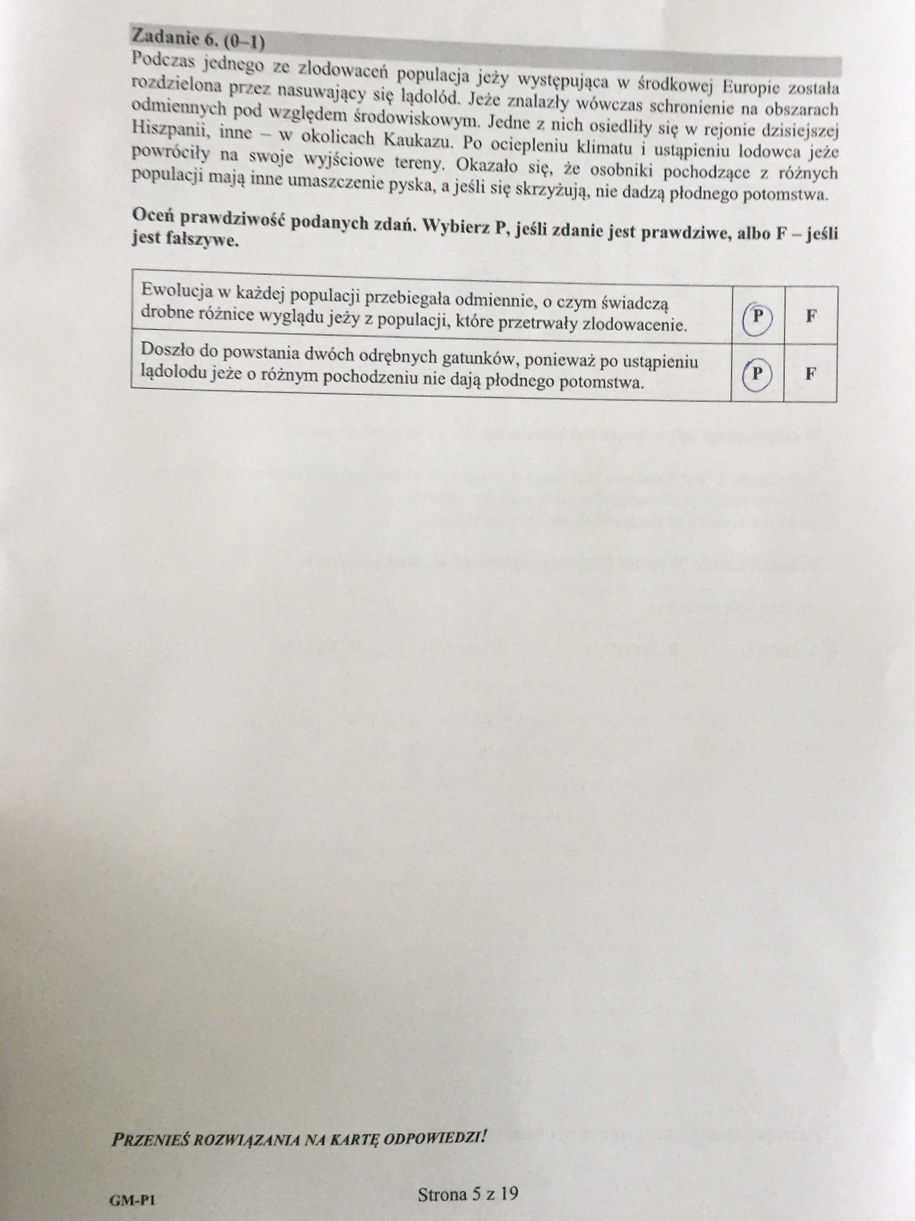 Egzamin gimnazjalny 2017. Przykładowe rozwiązania /RMF FM