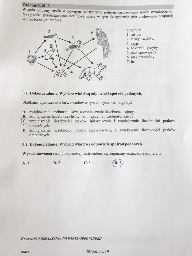 Egzamin gimnazjalny 2017. Przykładowe rozwiązania /RMF FM