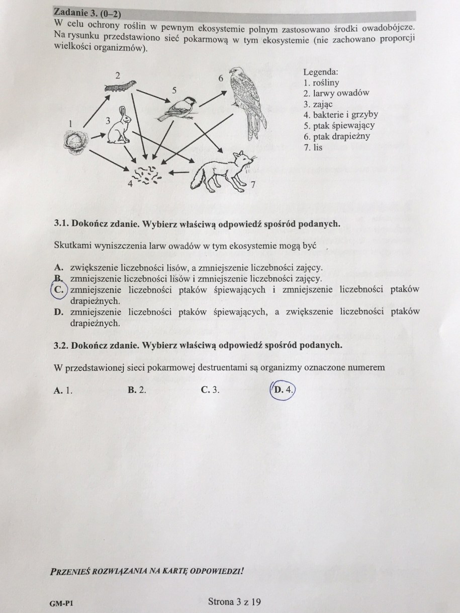 Egzamin gimnazjalny 2017. Przykładowe rozwiązania /RMF FM