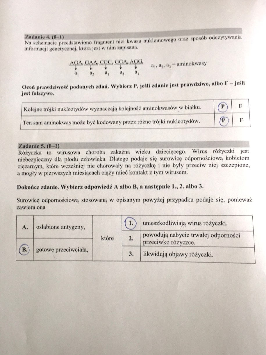 Egzamin gimnazjalny 2017. Przykładowe rozwiązania /RMF FM