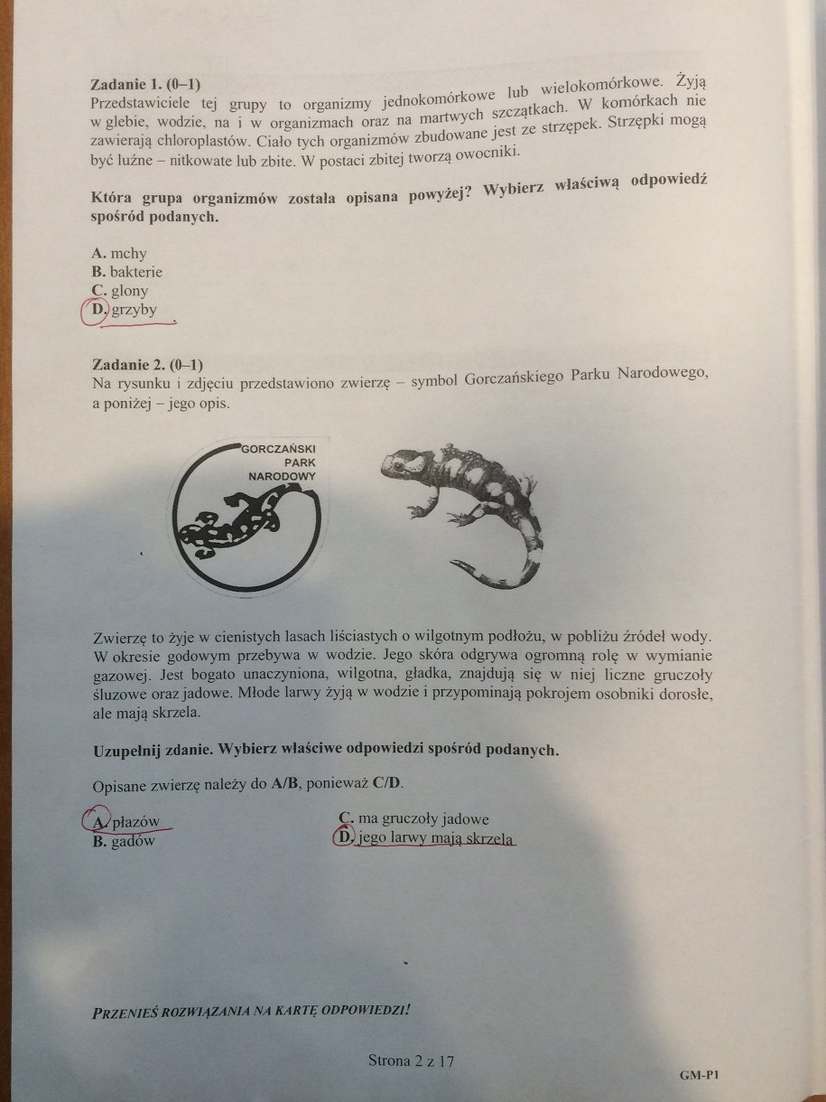 Egzamin gimnazjalny. Propozycja rozwiązań /RMF FM