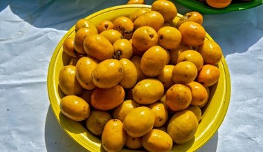 Egzotyczna śliwka, smakuje jak połączenie mango, moreli i limonki. Oczyszcza organizm, odmładza i wzmacnia odporność 