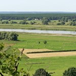 rezerwat przyrody Egzotyczne miejsce w Polsce. "Śródziemnomorska wyspa" i ekstremalne upały