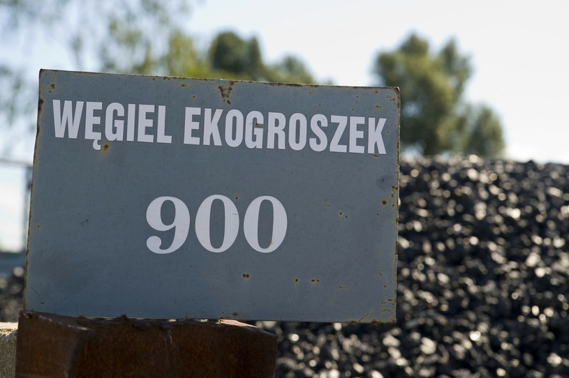Ekogroszek jest coraz droższy. Polacy już teraz robią zapasy węgla na zimę. /Stanisław Bielski/Reporter /Reporter