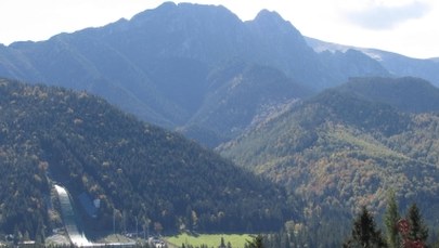 Ekolodzy sprawdzili, co rośnie na szczytach polskich gór. Na Giewoncie znaleźli… pomidora