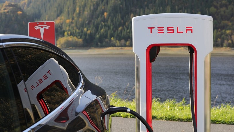 Ekologiczna Tesla wytnie spory las pod Berlinem w celu budowy Gigafactory 4 /Geekweek