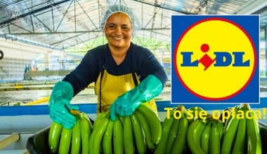 Ekologiczne, etyczne i tanie - Lidl kusi wyjątkową promocją na banany Fairtrade