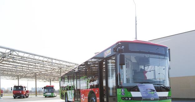 Ekologiczny autobus Ursusa /Informacja prasowa