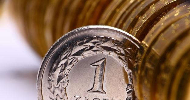Ekonomiści banku spodziewają się, że złoty w lutym osłabi się do blisko 4,30 zł /&copy; Panthermedia