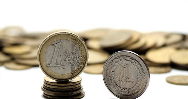 Ekonomiści oceniają, że złoty będzie się poruszać w przedziale 4,19-4,21 za euro /&copy; Panthermedia