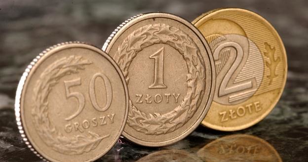 Ekonomiści spodziewają się, że do końca tygodnia złoty już nie będzie zyskiwał względem euro /&copy; Panthermedia