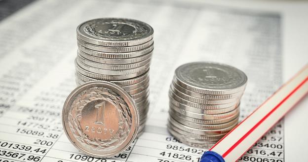 Ekonomiści uważają, że EUR/PLN pozostanie w najbliższym czasie na podwyższonych poziomach. /123RF/PICSEL